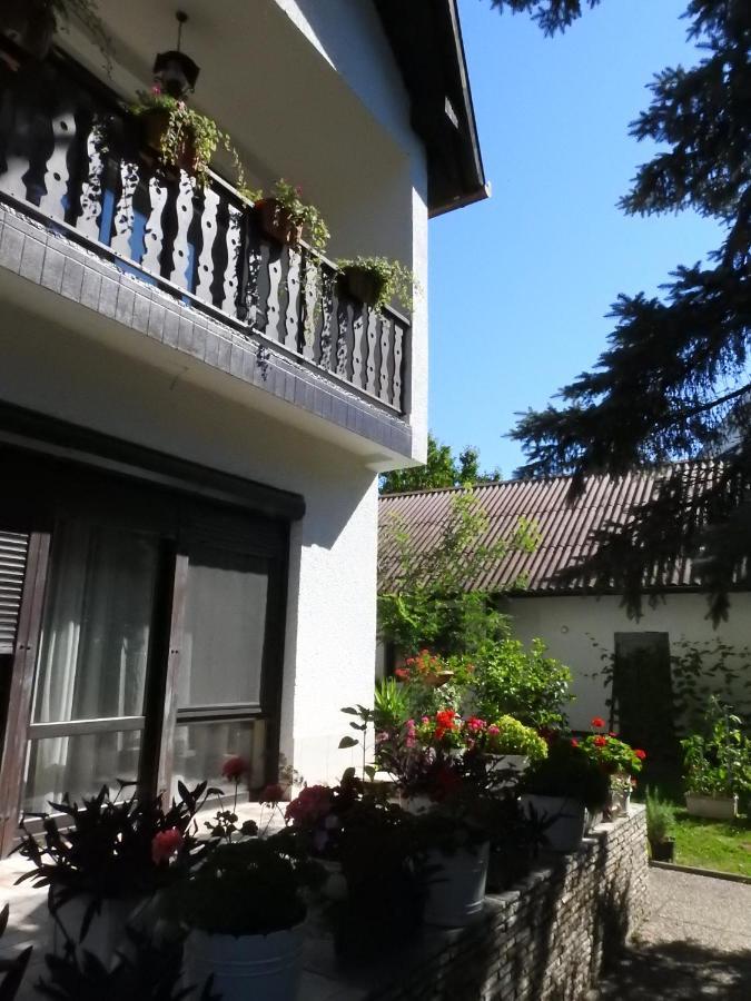 מלון Harkány Haus Gizella מראה חיצוני תמונה