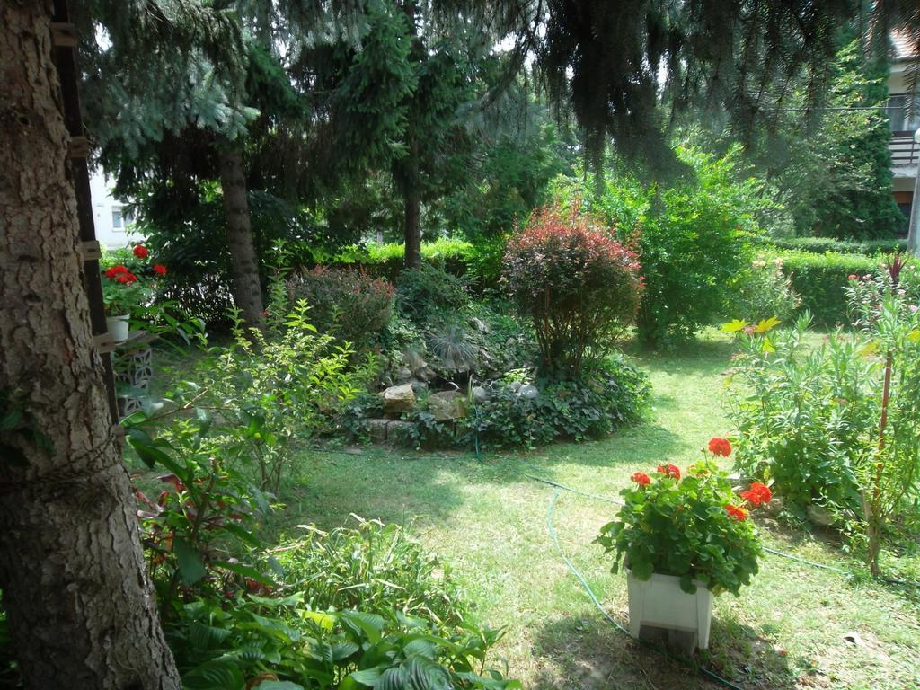 מלון Harkány Haus Gizella מראה חיצוני תמונה