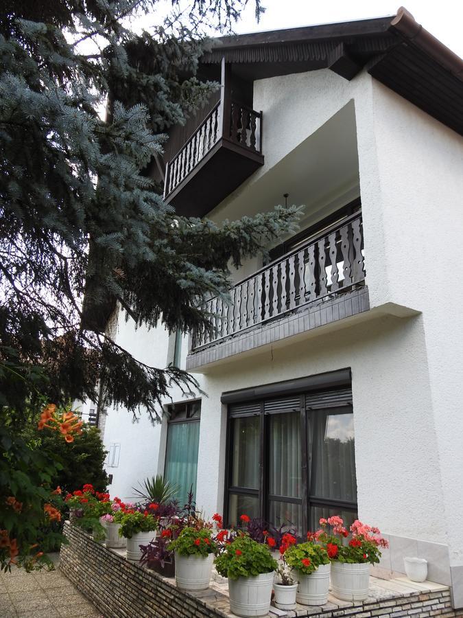 מלון Harkány Haus Gizella מראה חיצוני תמונה